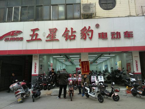 zuboo五星钻豹电动车