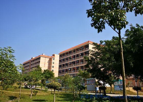 参考资料来源:东华大学研究生招生网