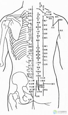 r1krpxy0采集到人体结构图