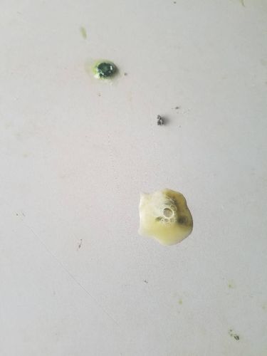 鸽子表现症状:涨嗉,吐食,拉绿便,黄便,带泡沫和条形便.