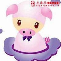 属猪女微信头像
