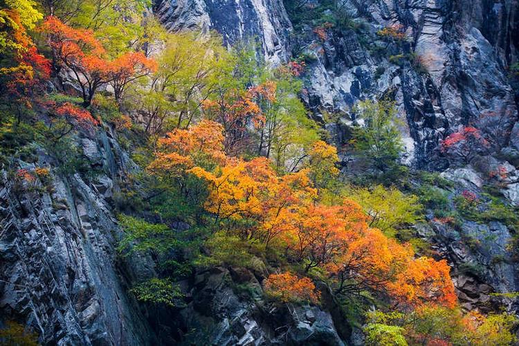 穿越秦岭 寻找最美秋色公里g210国道_新浪看点