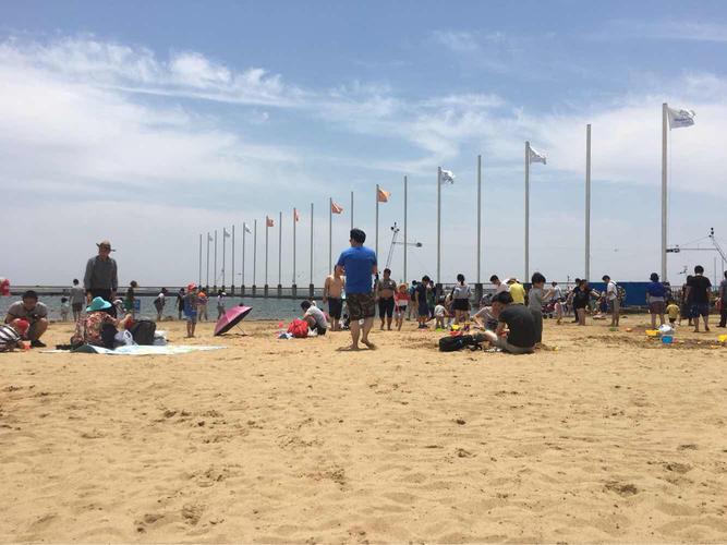 上海奉贤碧海金沙   成人票(淡季门票)