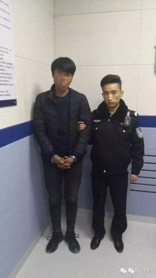 县公安局,积石山县公安局,和政公安 东乡县公安局成功抓获2名上网逃犯