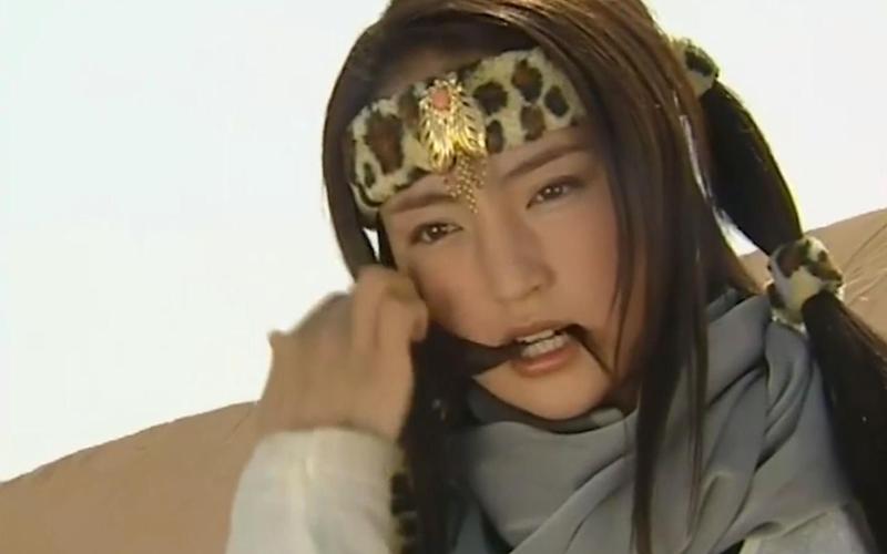 雪花女神龙上官燕武功大成一人一剑行走江湖腥风血雨席卷而来