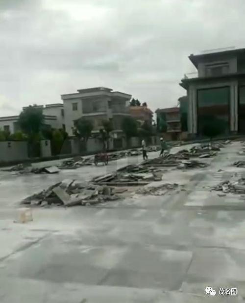 高州某富豪超大豪宅被要求复绿是小人太多还是另有内情