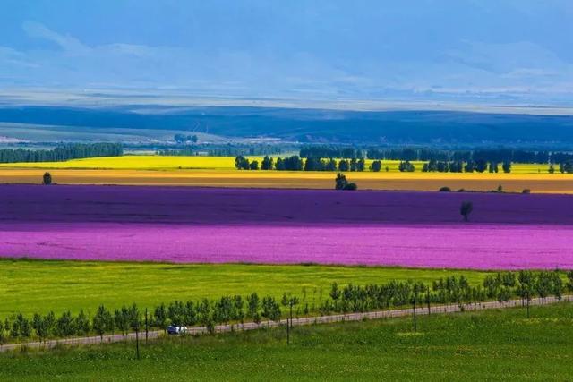 新疆伊犁这条800公里的风景长廊到底有多美