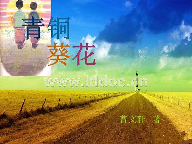 好书推荐:《青铜葵花》.ppt