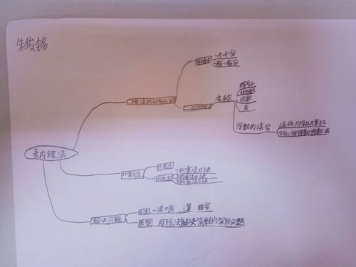 表内除法思维导图