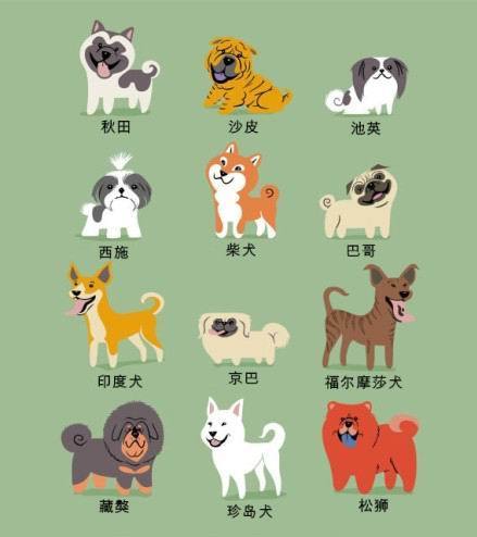 lili chin 画的狗狗