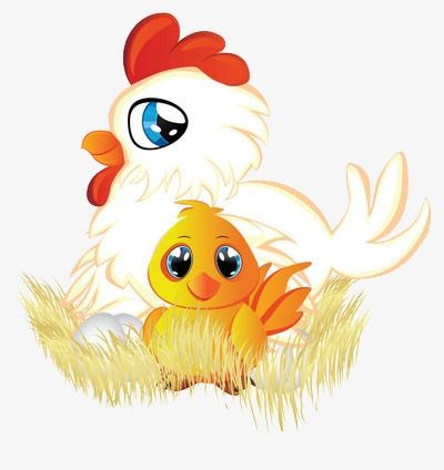 刚孵出来的小鸡