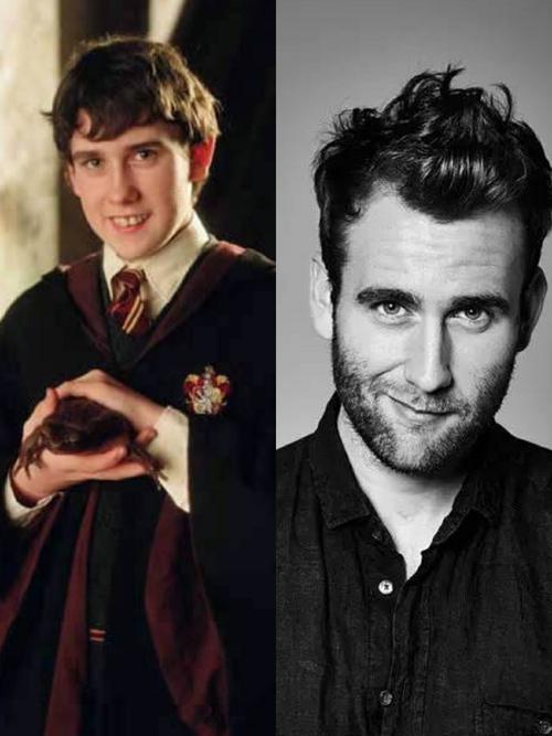 德拉科马尔福 我一直觉得当时长得最帅的就是他,长大以后好像期待