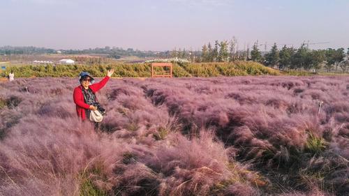 2018国庆游句容伏热花海