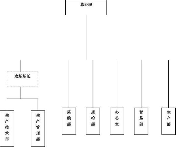 组织结构图