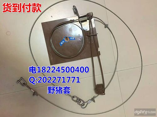 立式横式弹簧套新型野猪吊脚套野猪下野猪套操作方法野猪套脚绳野猪
