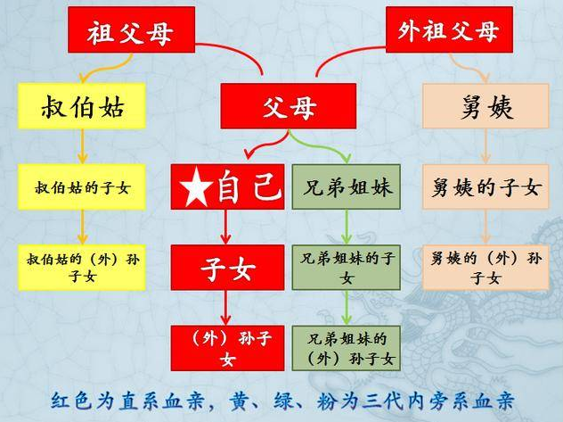 直系血亲,是指和自己有直接血缘关系的亲属,具有生与被生关系.