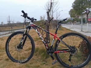 捷安特giant slr1大公主 山地自行车 闲置转卖
