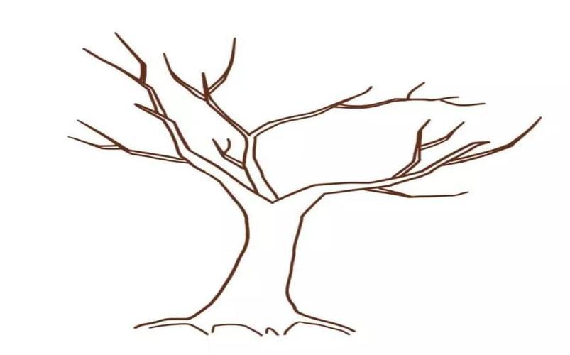 关于秋天怎么画秋天大树简笔画画法步骤教程