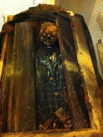 埋葬50年后的尸体是什么样子胆小勿入