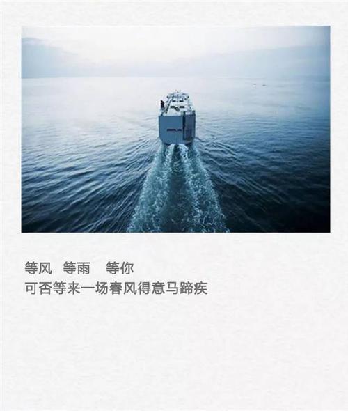 精选丨等风,等雨,也等你