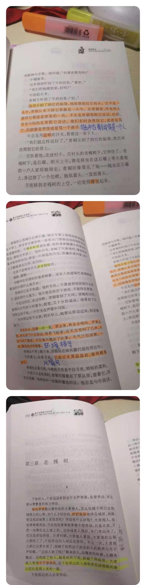 金燕四一,共读一本书《青铜葵花》第三章1,2小节