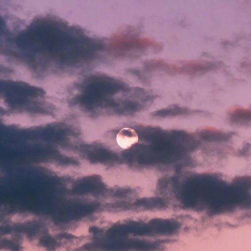 "温柔到极致"的英文仙句:你燃起了满天星辰,那你就是我的漫天星河