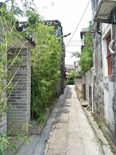 中山三溪村--20170430