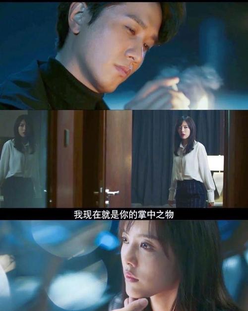 《掌中之物》何妍爱不爱傅慎行,细节就能看出来(答案)