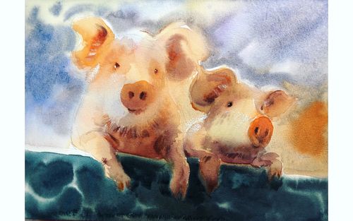 活动作品水彩小猪教程