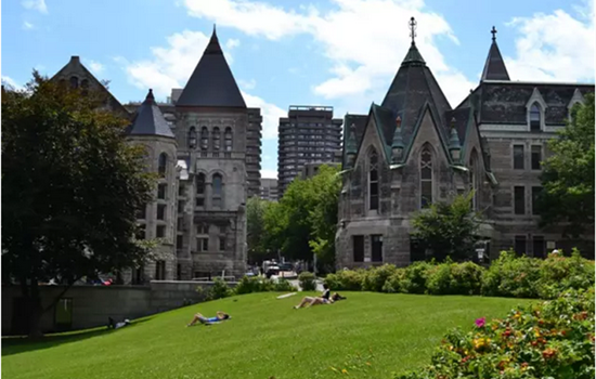麦吉尔大学(mcgill university).png