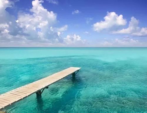 心如大海从此美丽