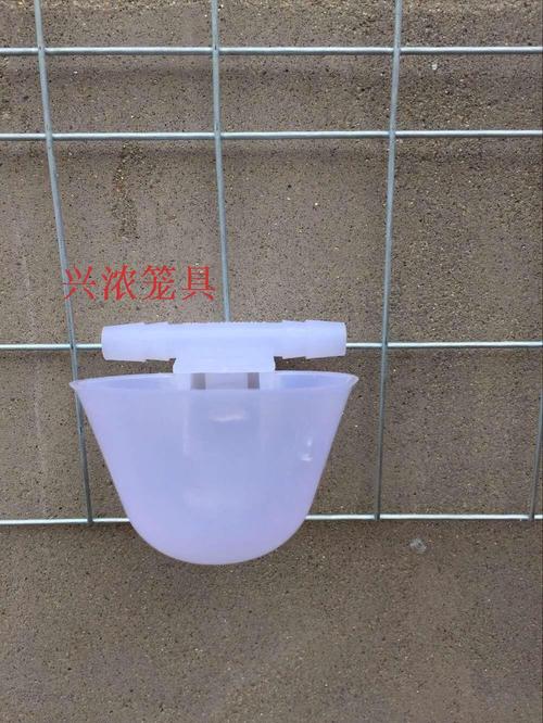 新款鸽子水碗水杯自动饮水器自动饮水碗鸽笼挂式上进水左右进水杯