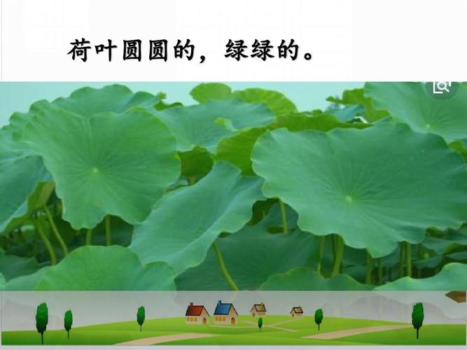 部编版语文一年级下册荷叶圆圆优秀课件ppt