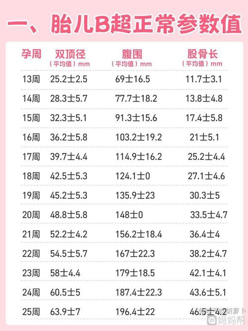 胎儿体重计算表