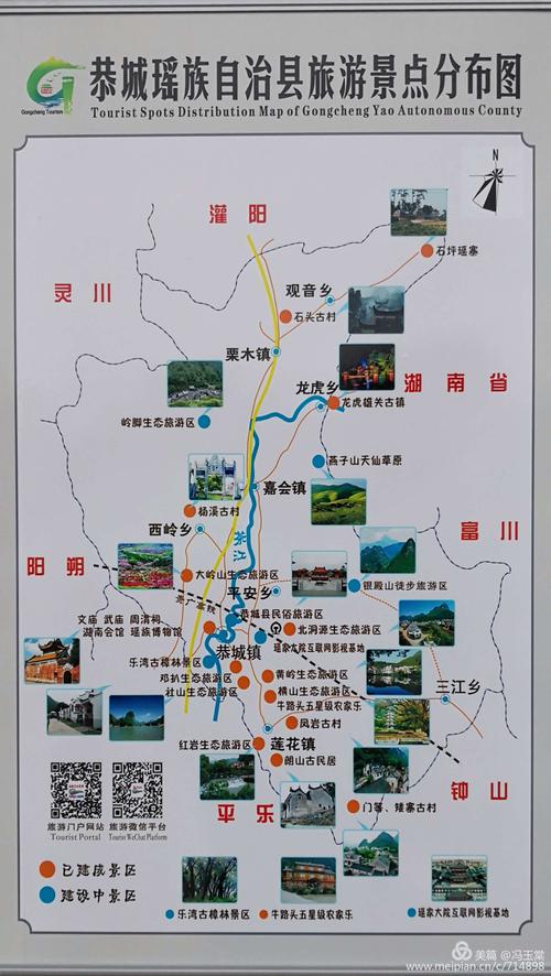 "柿"生始长话恭城 红岩月柿艳枝头