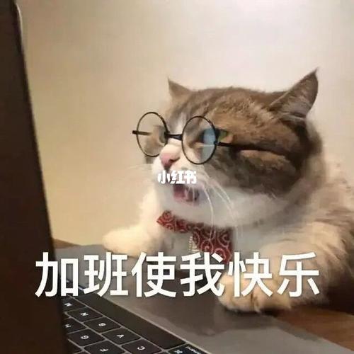 眼不见心不烦可爱猫咪表情包_表情包_猫咪_表情包分享