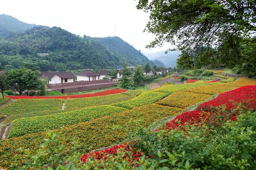 原创江西首个5a级乡村旅游景点藏在深山中景色美如人间仙境