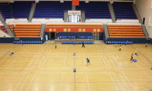 每逢佳节放福利顺德体育中心中秋节开放安排