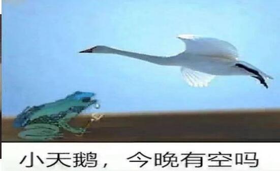 小天鹅我馋你了表情包gif