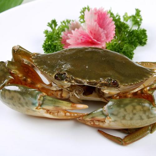 海鲜特大青蟹108一斤膏蟹128一斤 鲜活螃蟹马来西亚进口螃蟹