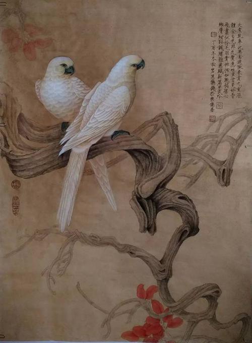 陈松岩教授|工笔白鹦鹉和牡丹 网络班(超低价!