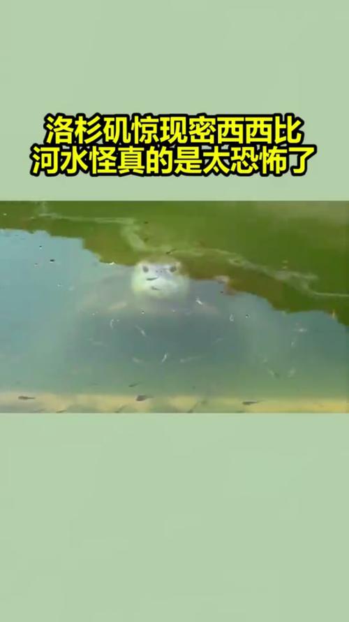 洛杉矶惊现密西西比河水怪真的是太恐怖了