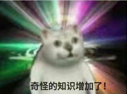 抖音猫咪摇来摇去的表情包完整版免费 v1.