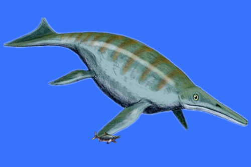 西卡尼萨斯特鱼龙