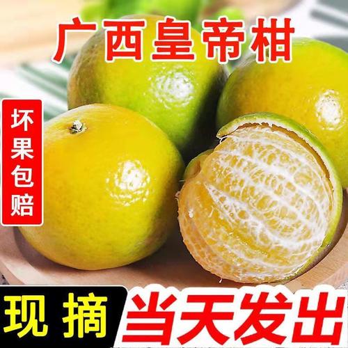 品质皇帝柑广西贡柑大果新鲜当季水果柑橘桔子批发一整箱蜜桔