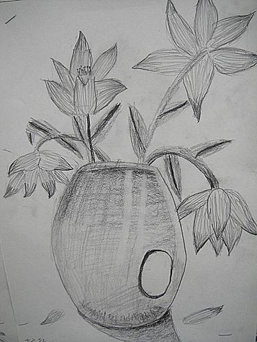 二年级素描画图片大全