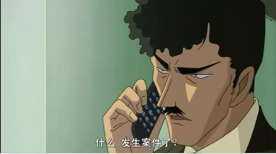  p>是指动漫《名侦探柯南》中姓氏为"服部"的一家人:平次,平藏,静华.