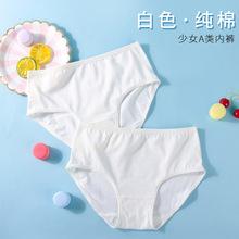 女童白色内裤三角裤少女学生纯色裤头薄款纯棉10-12-15岁初中生