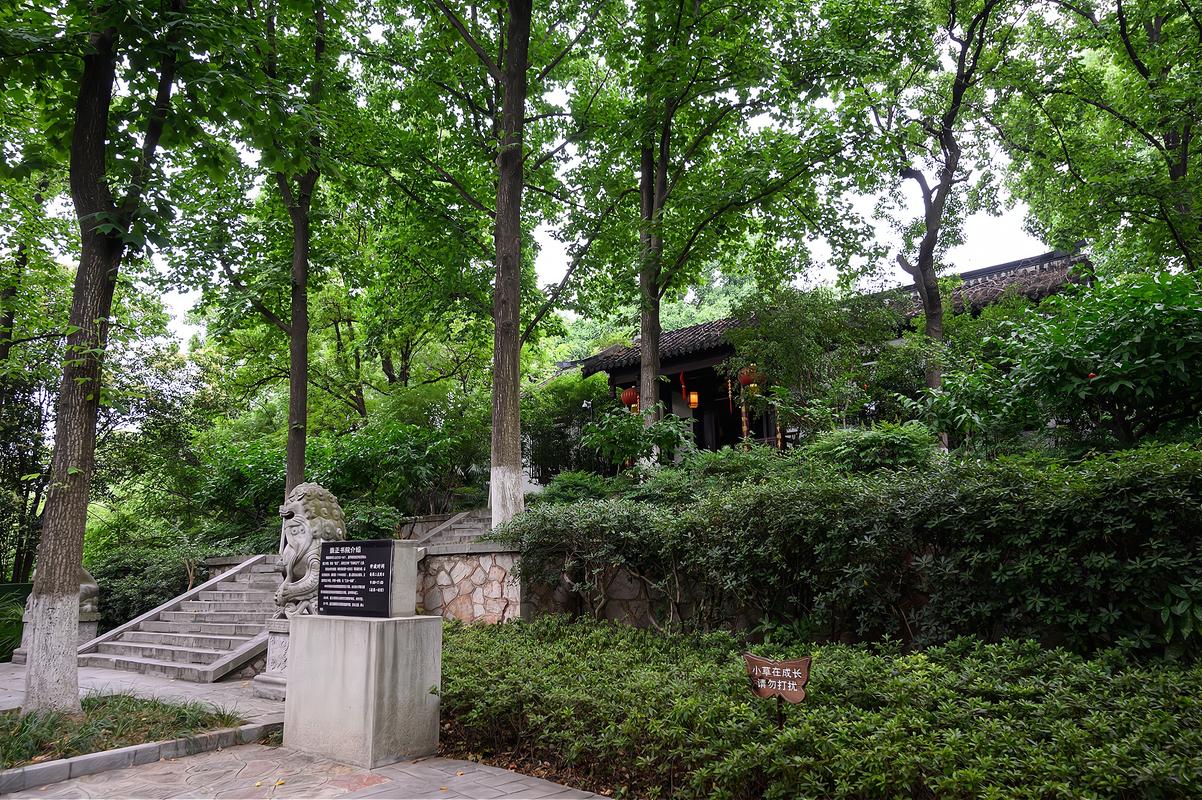 原创南京清凉山公园,一座藏于喧嚣闹市中的城市山林,门票免费