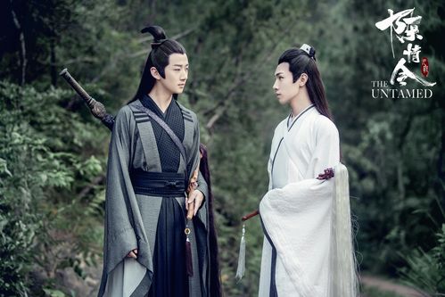 陈情令李泊文 饰 宋岚宋继扬 饰 晓星尘